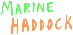 Marine Haddock